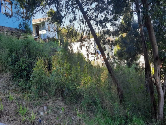 Imagem Terreno à Venda, 420 m² em Piá - Nova Petrópolis