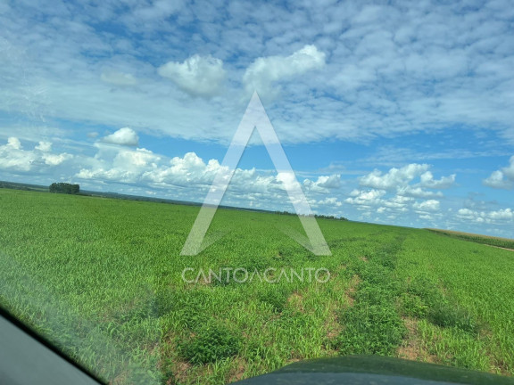 Imagem Imóvel à Venda, 162 m² em Zona Rural - Tapurah Imagem Imóvel à Venda, 162 m² em Zona Rural - Tapurah