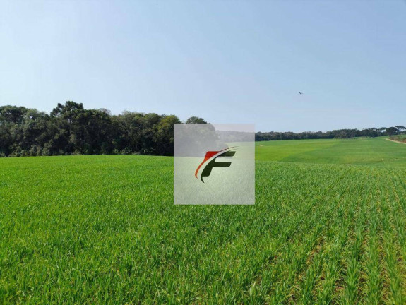 Imagem Fazenda à Venda, 847.000 m² em Centro - Lapa Imagem Fazenda à Venda, 847.000 m² em Centro - Lapa