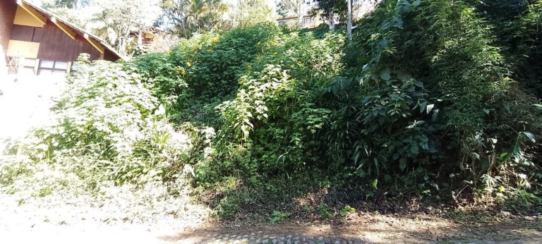Imagem Terreno à Venda, 199 m² em Parque Do Ingá - Teresópolis Imagem Terreno à Venda, 199 m² em Parque Do Ingá - Teresópolis