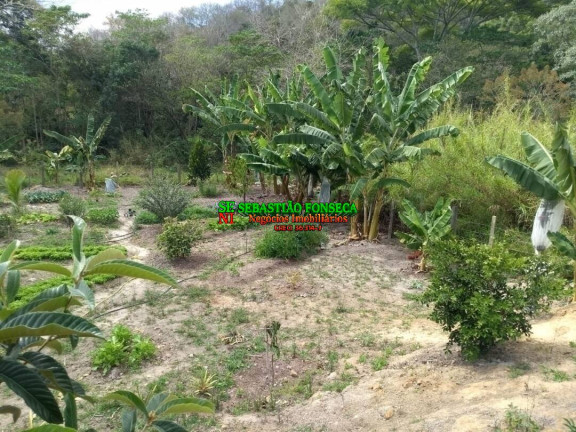 Imagem Chácara com 1 Quarto à Venda, 21.000 m² em Centro - Caçapava