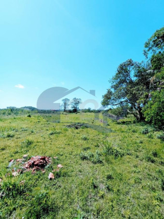 Imagem Chácara à Venda, 4.800 m² em Curralinhos - Passo De Torres Imagem Chácara à Venda, 4.800 m² em Curralinhos - Passo De Torres