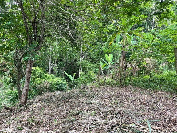 Imagem Terreno à Venda, 2.000 m² em Guaratiba - Rio De Janeiro Imagem Terreno à Venda, 2.000 m² em Guaratiba - Rio De Janeiro