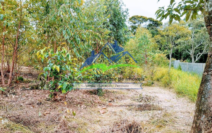 Imagem Chácara com 3 Quartos à Venda, 5.900 m² em Terra Preta - Mairiporã Imagem Chácara com 3 Quartos à Venda, 5.900 m² em Terra Preta - Mairiporã