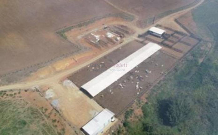 Imóvel com 2 Quartos à Venda, 2.541.000 m² em Jardim Bela Vista - São José Dos Campos