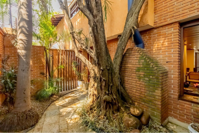 Imagem Casa com 4 Quartos à Venda, 310 m² em Moema - São Paulo Imagem Casa com 4 Quartos à Venda, 310 m² em Moema - São Paulo