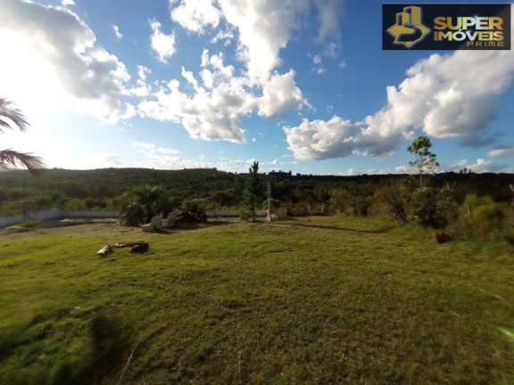Imagem Imóvel com 3 Quartos à Venda, 30.000 m² em Zona Rural - Pelotas Imagem Imóvel com 3 Quartos à Venda, 30.000 m² em Zona Rural - Pelotas
