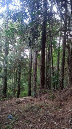 Imagem Terreno à Venda, 27.000 m² em Santo Antônio De Lisboa - Florianópolis Imagem Terreno à Venda, 27.000 m² em Santo Antônio De Lisboa - Florianópolis