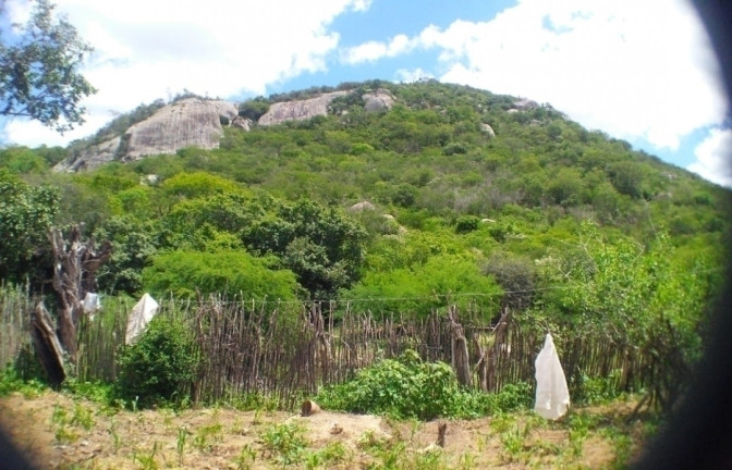 Imagem Terreno à Venda, 84 m² em Carapotos - Caruaru Imagem Terreno à Venda, 84 m² em Carapotos - Caruaru