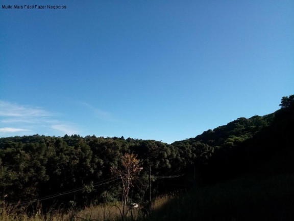 Imagem Terreno à Venda, 2 m² em Linha Imperial - Nova Petrópolis