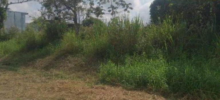 Terreno à Venda, 880 m² em Jardim Somar - Peruíbe