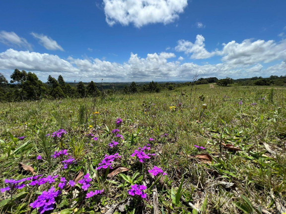 Imagem Chácara à Venda, 5 m² em Fiuza - Viamão Imagem Chácara à Venda, 5 m² em Fiuza - Viamão