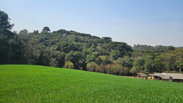 Fazenda à Venda,  em Capela Velha - Araucaria