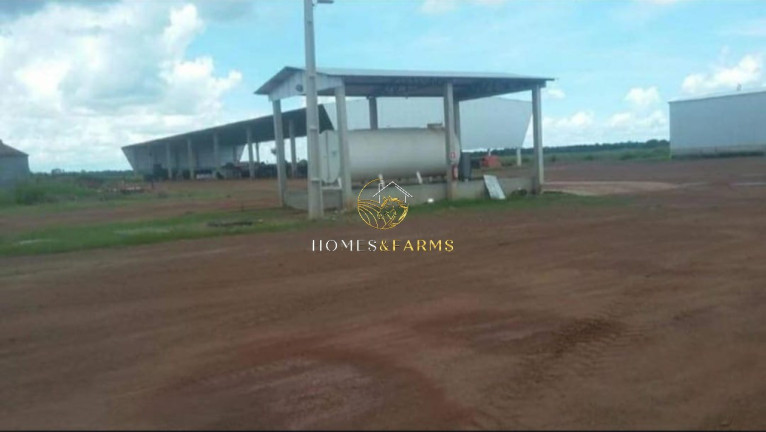 Imagem Imóvel com 3 Quartos à Venda, 39.000 m² em Zona Rural - Confresa Imagem Imóvel com 3 Quartos à Venda, 39.000 m² em Zona Rural - Confresa