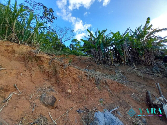 Imagem Terreno à Venda, 4.275 m² em Praia Grande - Ilhabela Imagem Terreno à Venda, 4.275 m² em Praia Grande - Ilhabela