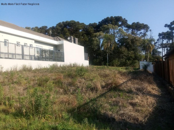 Terreno à Venda, 512 m² em Juriti - Nova Petrópolis