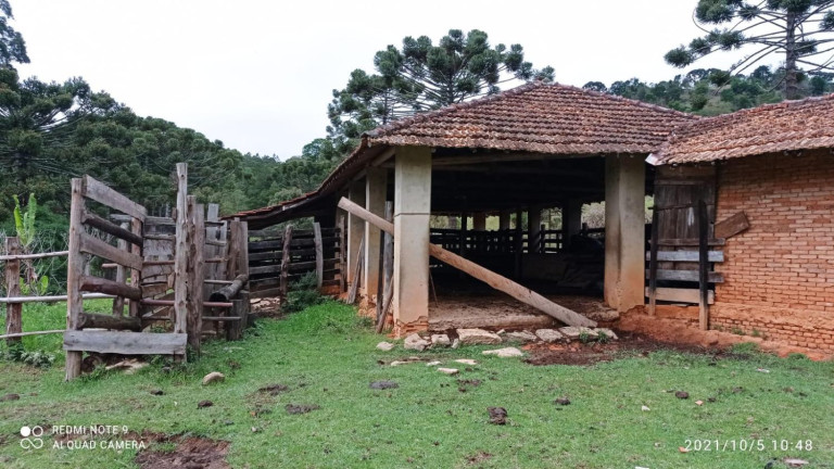 Imagem Fazenda à Venda, 30.000 m² em Centro - Joanópolis Imagem Fazenda à Venda, 30.000 m² em Centro - Joanópolis