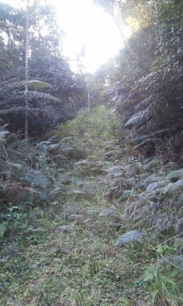 Imagem Terreno à Venda, 34 m² em Terra Preta - Mairiporã Imagem Terreno à Venda, 34 m² em Terra Preta - Mairiporã