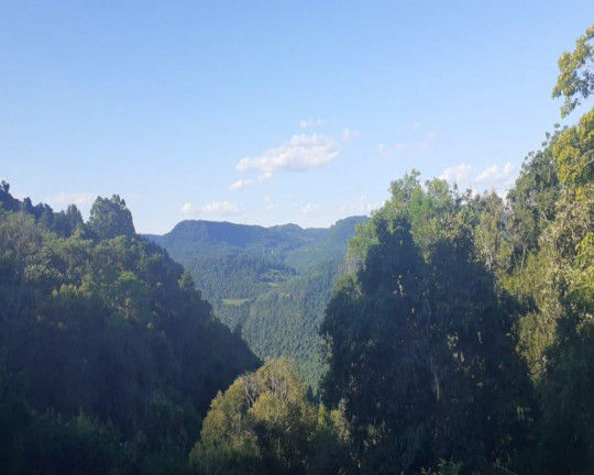 Imagem Imóvel com 3 Quartos à Venda,  em Linha Brasil - Nova Petrópolis