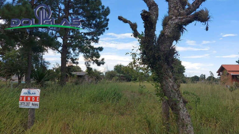 Imagem Terreno à Venda, 1.000 m² em Viamão Imagem Terreno à Venda, 1.000 m² em Viamão