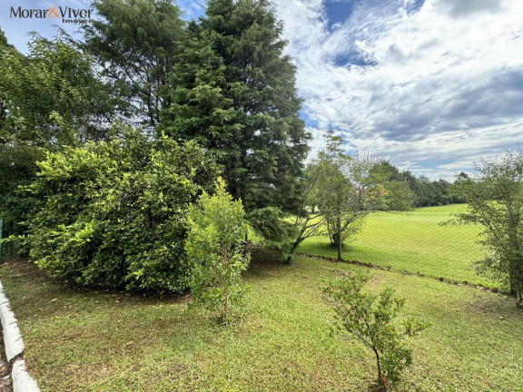 Imagem Terreno à Venda, 2.500 m² em Campo Largo Da Roseira - São José Dos Pinhais Imagem Terreno à Venda, 2.500 m² em Campo Largo Da Roseira - São José Dos Pinhais