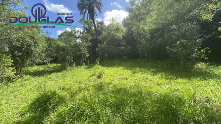 Imagem Terreno à Venda, 5.000 m² em Viamão Imagem Terreno à Venda, 5.000 m² em Viamão