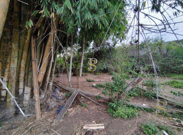 Imagem Imóvel à Venda, 5.634 m² em Terra Preta - Mairiporã Imagem Imóvel à Venda, 5.634 m² em Terra Preta - Mairiporã