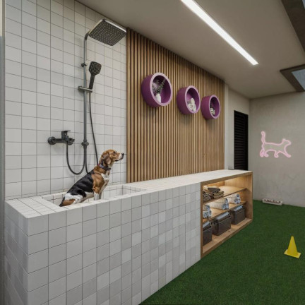 Imagem Apartamento com 1 Quarto à Venda, 37 m² em Bento Ferreira - Vitória Imagem Apartamento com 1 Quarto à Venda, 37 m² em Bento Ferreira - Vitória