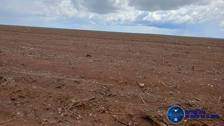 Imagem Fazenda à Venda, 2 m² em Zona Rural - Caxias Imagem Fazenda à Venda, 2 m² em Zona Rural - Caxias