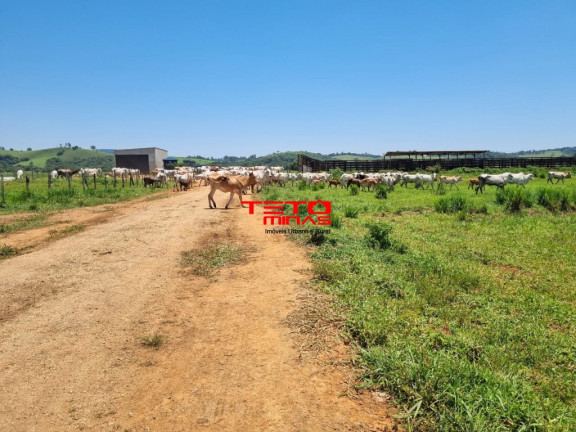 Imagem Imóvel à Venda, 175 m² em área Rural De Pouso Alegre - Pouso Alegre Imagem Imóvel à Venda, 175 m² em área Rural De Pouso Alegre - Pouso Alegre