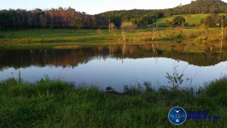 Chácara à Venda, 5 m² em Zona Rural - Santa Cruz De Goiás
