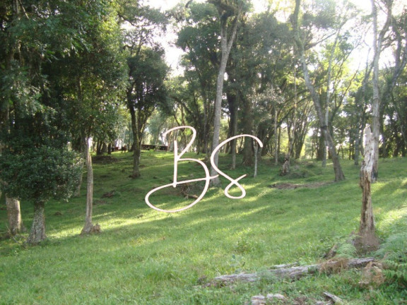Imagem Terreno à Venda, 50.000 m² em Linha Bonita - Gramado Imagem Terreno à Venda, 50.000 m² em Linha Bonita - Gramado