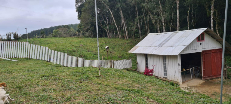Imagem Imóvel com 3 Quartos à Venda, 32.600 m² em Colônia Retiro - Mandirituba