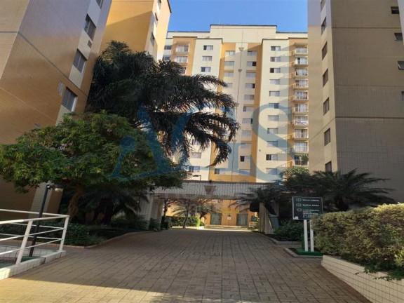 Imagem Apartamento com 3 Quartos à Venda, 62 m² em Cambuci - São Paulo Imagem Apartamento com 3 Quartos à Venda, 62 m² em Cambuci - São Paulo