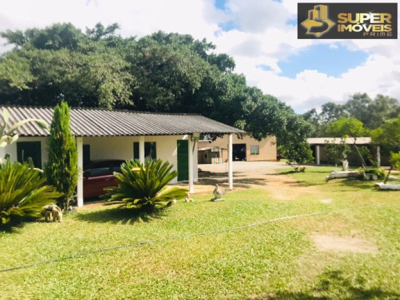 Imagem Imóvel com 7 Quartos à Venda, 120.000 m² em Monte Bonito - Pelotas Imagem Imóvel com 7 Quartos à Venda, 120.000 m² em Monte Bonito - Pelotas