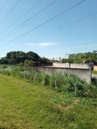Imagem Imóvel para Alugar, 38 m² em Parque Estrela (vila Inhomirim) - Magé Imagem Imóvel para Alugar, 38 m² em Parque Estrela (vila Inhomirim) - Magé
