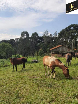 Imagem Imóvel com 3 Quartos à Venda, 16.200 m² em Zona Rural - Quatro Barras