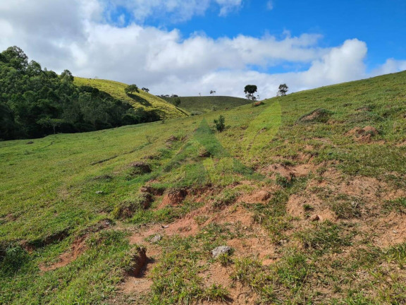 Imagem Chácara com 3 Quartos à Venda, 508.200 m² em Piracaia - Piracaia Imagem Chácara com 3 Quartos à Venda, 508.200 m² em Piracaia - Piracaia