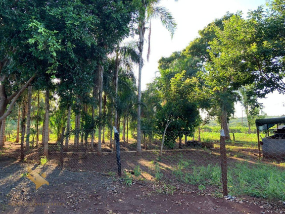 Imagem Chácara com 4 Quartos à Venda, 70.000 m² em Parque Fazenda Imbirussu - Campo Grande Imagem Chácara com 4 Quartos à Venda, 70.000 m² em Parque Fazenda Imbirussu - Campo Grande