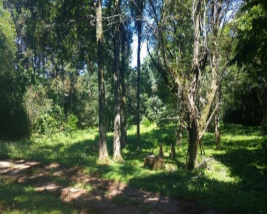 Imagem Casa com 4 Quartos à Venda, 170 m² em Piá - Nova Petrópolis Imagem Casa com 4 Quartos à Venda, 170 m² em Piá - Nova Petrópolis