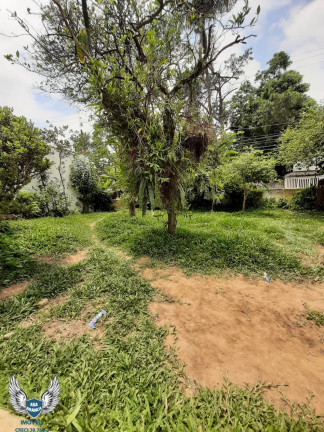 Terreno à Venda, 130 m² em Vila Irmãos Arnoni - São Paulo