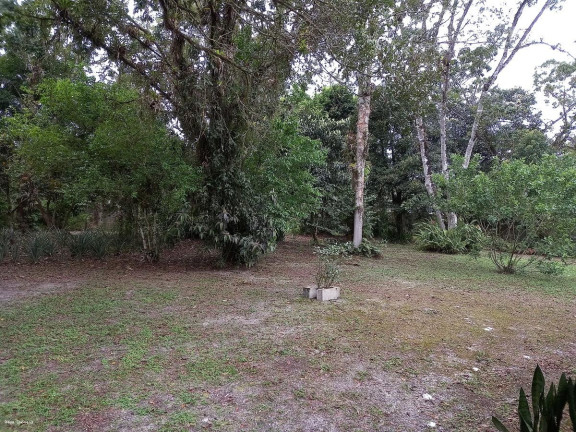 Imagem Imóvel com 3 Quartos à Venda, 5.423 m² em Jardim São Fernando - Itanhaém Imagem Imóvel com 3 Quartos à Venda, 5.423 m² em Jardim São Fernando - Itanhaém