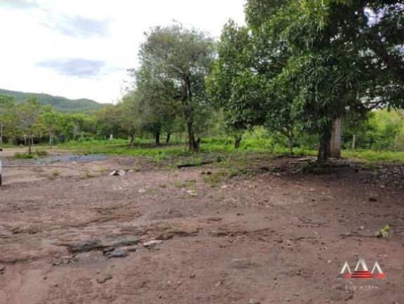 Fazenda à Venda, 6.200.000 m² em Centro - Acorizal