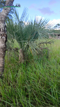 Imagem Terreno à Venda, 2.200 m² em Viamão