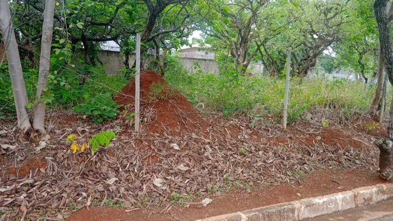 Imagem Terreno à Venda, 1.000 m² em Joá - Lagoa Santa Imagem Terreno à Venda, 1.000 m² em Joá - Lagoa Santa