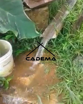 Imagem Chácara com 5 Quartos à Venda, 3.000 m² em Area Rural - Congonhal Imagem Chácara com 5 Quartos à Venda, 3.000 m² em Area Rural - Congonhal