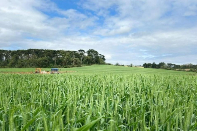Imagem Fazenda à Venda, 242.000 m² em Centro - Sao Mateus Do Sul