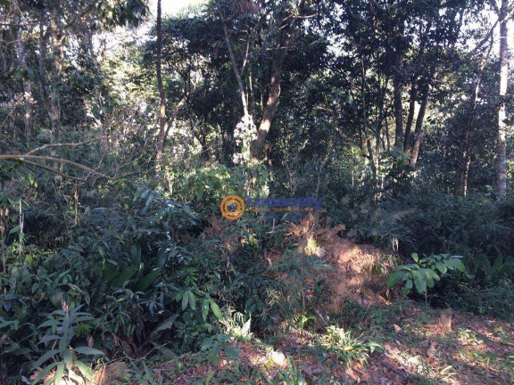 Imagem Terreno à Venda, 6.500 m² em Vila Bonita (santa Luzia) - Ribeirão Pires Imagem Terreno à Venda, 6.500 m² em Vila Bonita (santa Luzia) - Ribeirão Pires