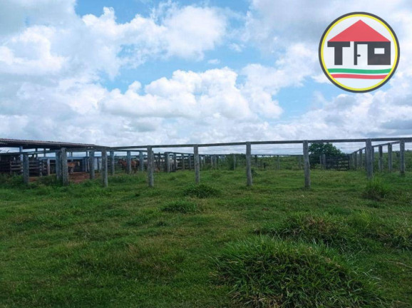 Imagem Fazenda à Venda, 16.456.000 m² em Zona Rural - Bom Jesus Do Tocantins