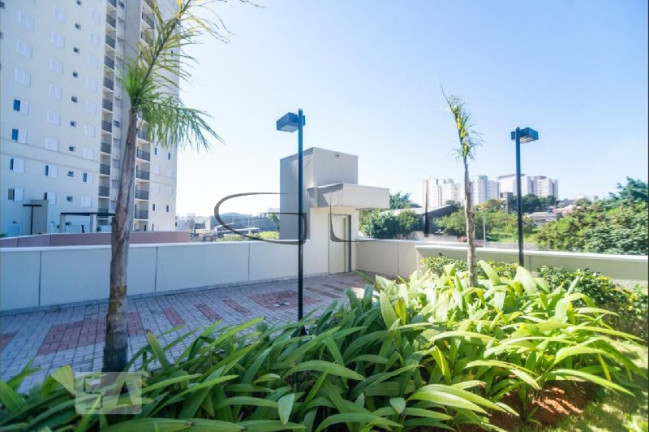 Imagem Imóvel com 2 Quartos à Venda, 50 m² em Vila Antonieta - São Paulo Imagem Imóvel com 2 Quartos à Venda, 50 m² em Vila Antonieta - São Paulo